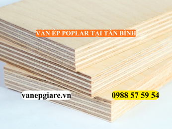 VÁN ÉP POPLAR TẠI TÂN BÌNH – GIẢI PHÁP NỘI THẤT TỐI ƯU CHO NHÀ PHỐ & VĂN PHÒNG HIỆN ĐẠI