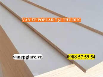 VÁN ÉP POPLAR TẠI THỦ ĐỨC – GIẢI PHÁP NỘI THẤT TINH TẾ, BỀN VỮNG CHO NHÀ HIỆN ĐẠI