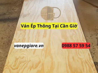 Ván Ép Thông Tại Cần Giờ