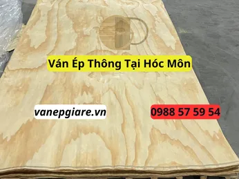 Ván Ép Thông Tại Hóc Môn