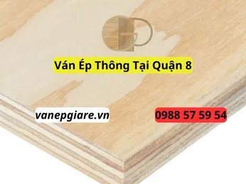 Ván Ép Thông Tại Quận 8