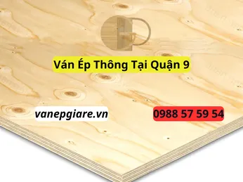 Ván Ép Thông Tại Quận 9