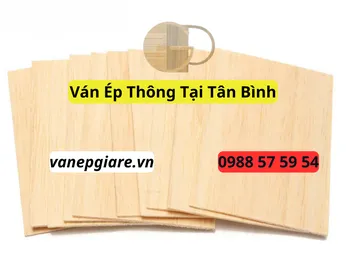 Ván Ép Thông Tại Tân Bình