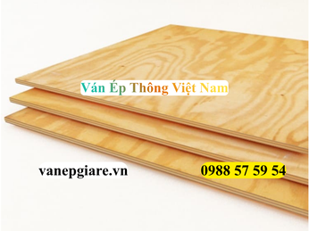Ván Ép Thông Việt Nam: Lựa Chọn Hoàn Hảo Cho Nội Thất Rustic Thẩm Mỹ