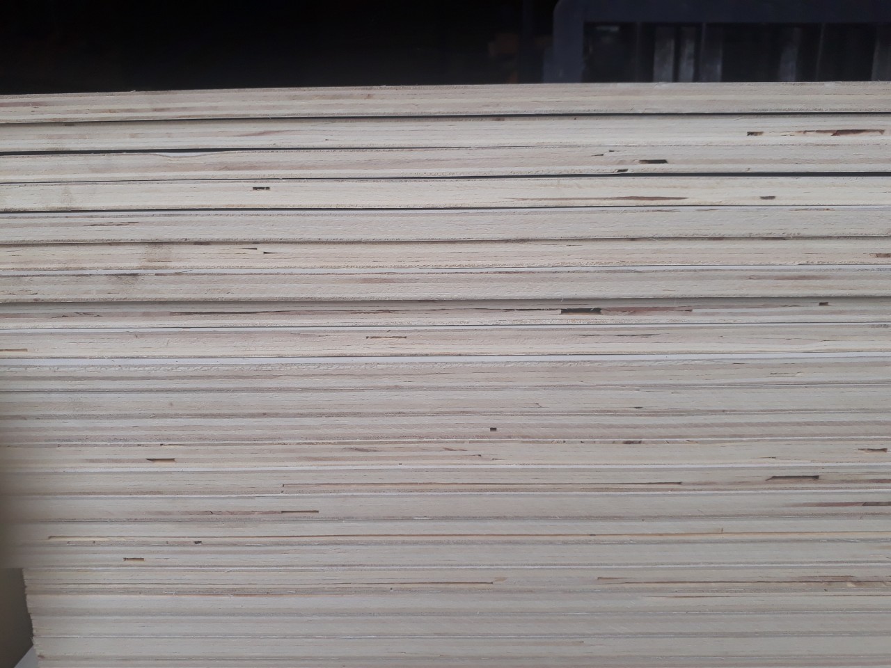 Ván ép chịu nước ruột Bạch Dương. Ván ép chịu nước ruột Bạch Dương.