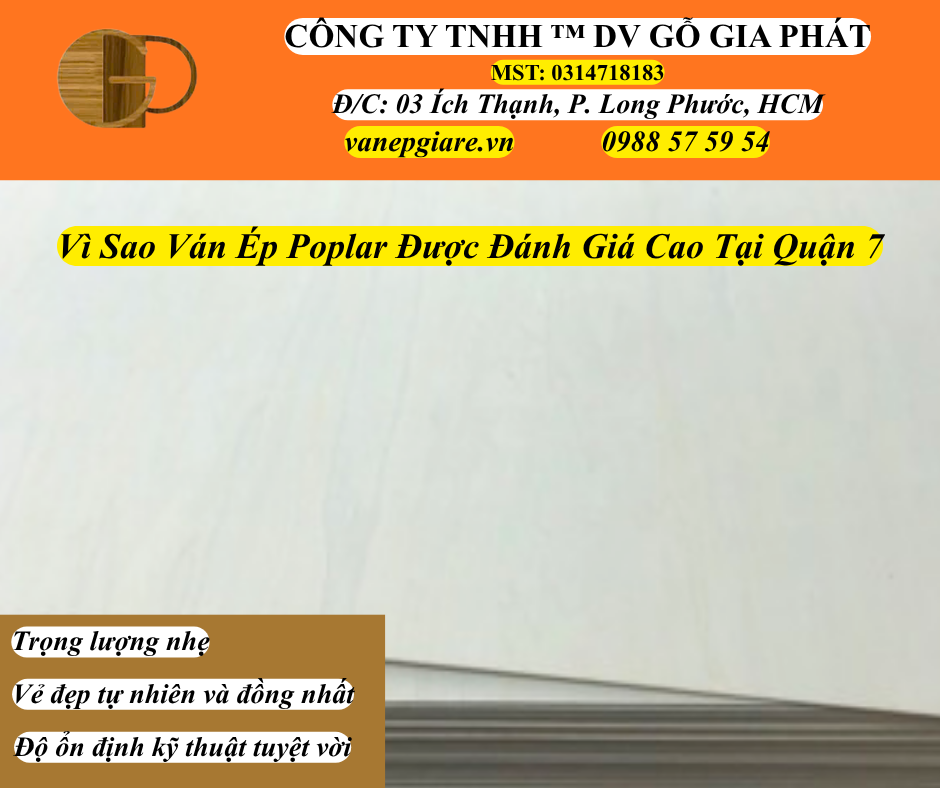 Vì Sao Ván Ép Poplar Được Đánh Giá Cao Tại Quận 7