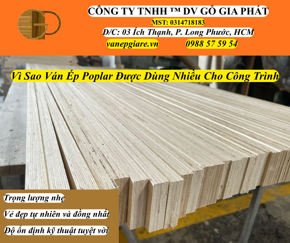 Vì Sao Ván Ép Poplar Được Dùng Cho Nhiều Công Trình Hiện Đại