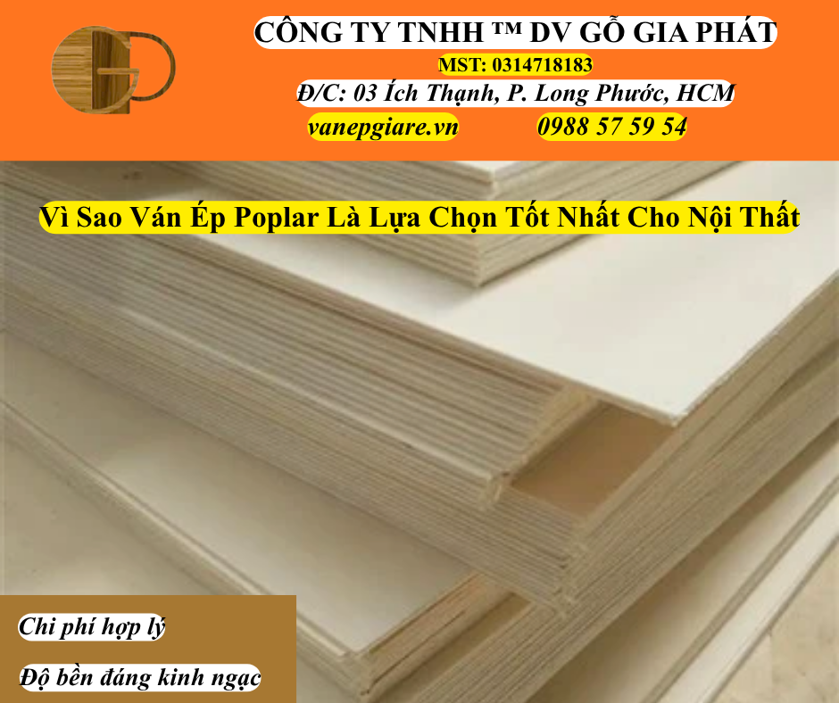 Vì Sao Ván Ép Poplar Là Lựa Chọn Tốt Cho Ngành Nội Thất