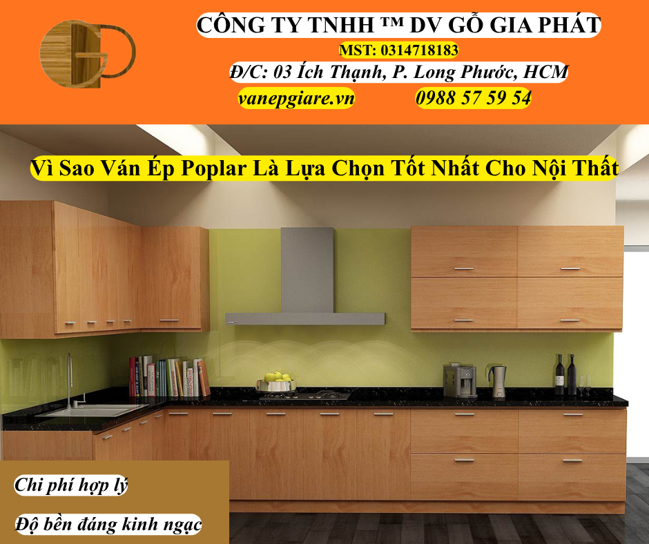 Vì Sao Ván Ép Poplar Là Lựa Chọn Thông Minh Cho Ngành Nội Thất