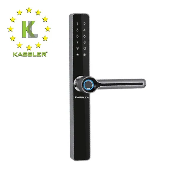 Khóa cửa vân tay Kassler KL-599 Black