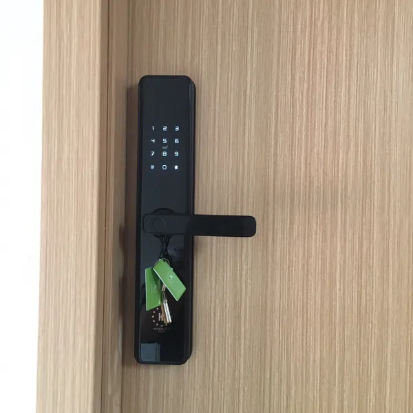 Khóa Cửa Vân Tay Kassler KL-669B (Black)