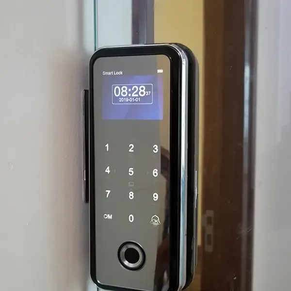 Khóa Vân Tay Cửa Kính Capsule C300GF