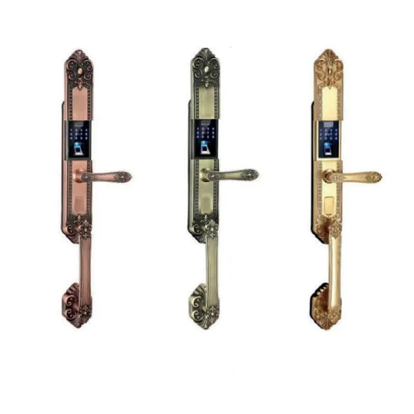 Khóa Cửa Đại Sảnh Tân Cổ Điển  Kaimi DS101