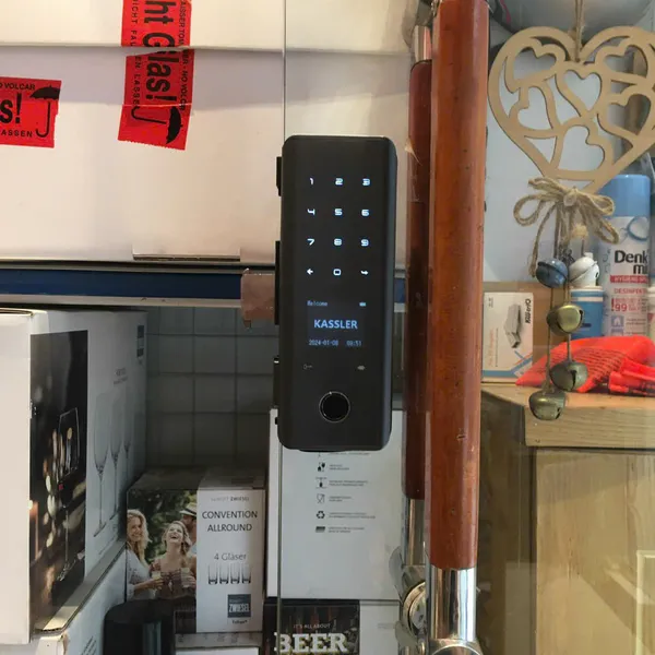 Khóa Vân Tay Cửa Kính Kassler KL-589I