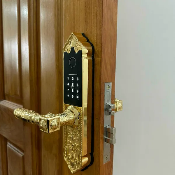 Khóa Vân Tay Tân Cổ Điển Kassler KL-919