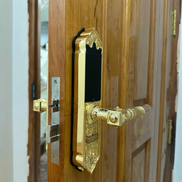 Khóa Vân Tay Tân Cổ Điển Kassler KL-919