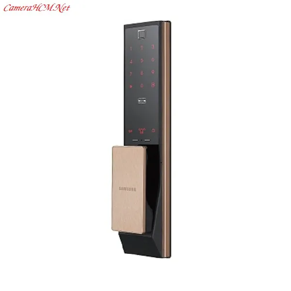 Khóa cửa vân tay Samsung SHP-DP739