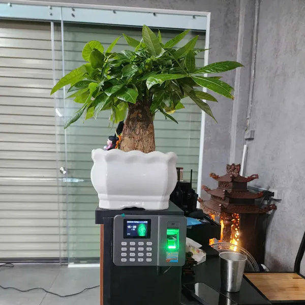 Máy Chấm Công Vân Tay Zkteco LX35 WiFi