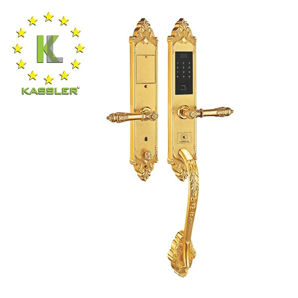 Khóa cửa vân tay Kassler KL-969G