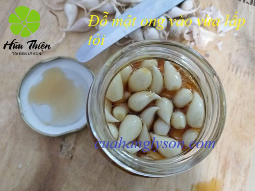cách ngâm tỏi với mật ong cách ngâm tỏi với mật ong