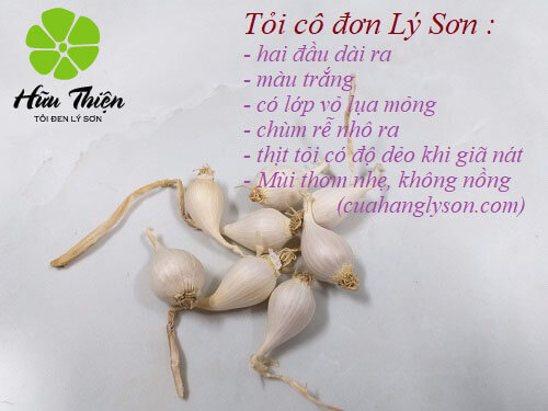 tỏi cô đơn lý sơn tỏi cô đơn lý sơn