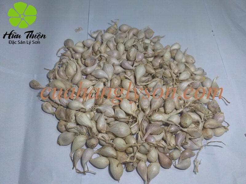 tỏi tép rời, tỏi lý sơn tỏi tép rời, tỏi lý sơn