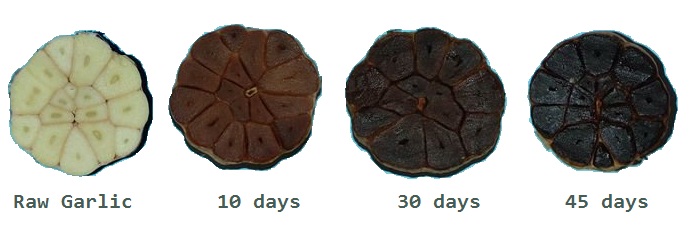 Toi den va he mien dich Toi den va he mien dich