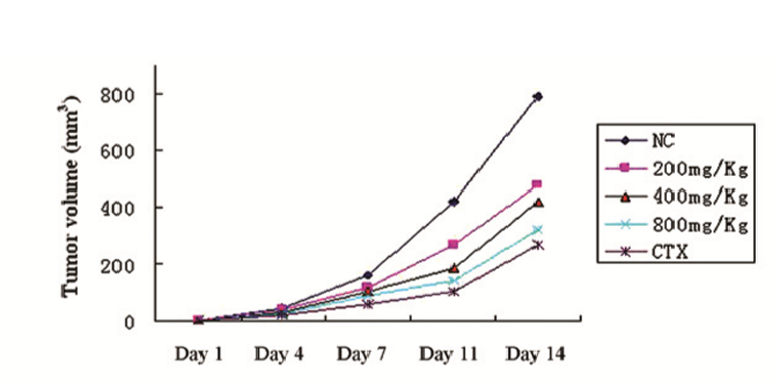 Toi den uc che phat trien ung thu da day 2 Toi den uc che phat trien ung thu da day 2