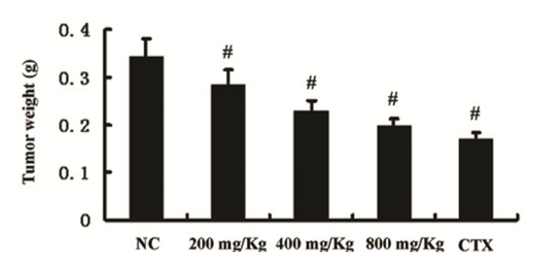 Toi den uc che phat trien ung thu da day 4 Toi den uc che phat trien ung thu da day 4