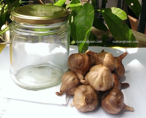 cách bảo quản tỏi đen cách bảo quản tỏi đen