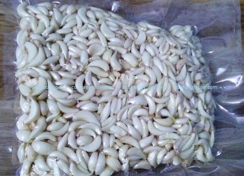 cách bảo quản tỏi cách bảo quản tỏi