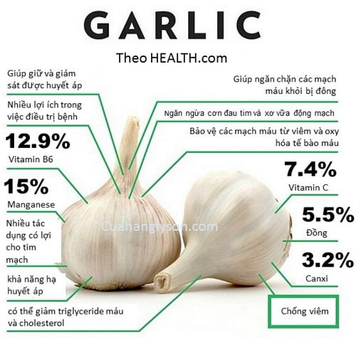 Công Dụng Của Tỏi Công Dụng Của Tỏi