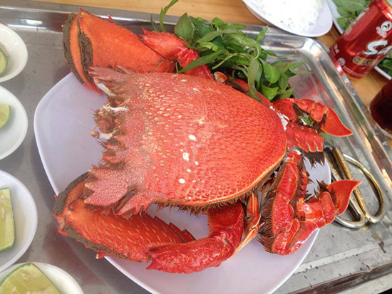 cua huỳnh đế lý sơn cua huỳnh đế lý sơn