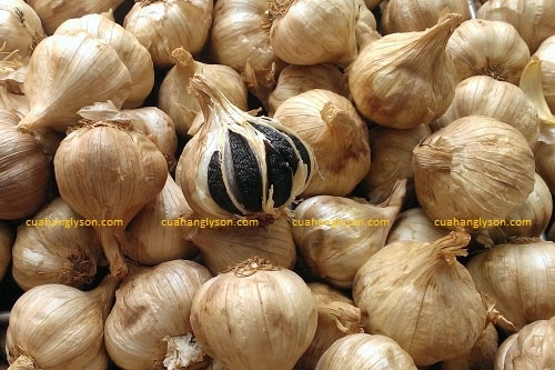 làm tỏi đen bị ướt làm tỏi đen bị ướt