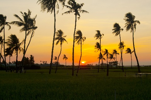 cảnh đẹp Lý Sơn