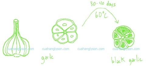 quá trình làm tỏi đen quá trình làm tỏi đen