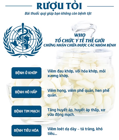 tác dụng của rượu tỏi tác dụng của rượu tỏi