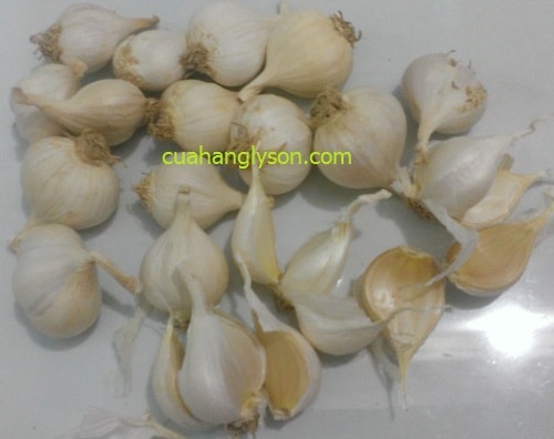 tỏi 3 lý sơn tỏi 3 lý sơn