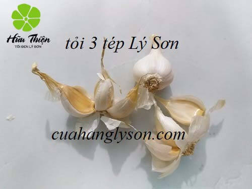 tỏi 3 tép lý sơn tỏi 3 tép lý sơn