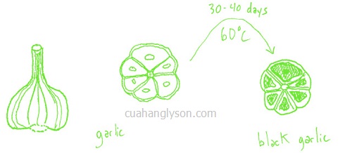 tỏi đen là gì tỏi đen là gì