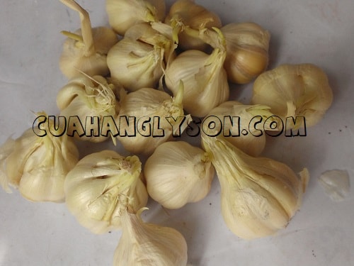 công dụng tỏi mọc mầm công dụng tỏi mọc mầm