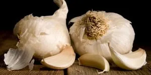 Chữa bệnh trĩ bằng tỏi mà ít người biết