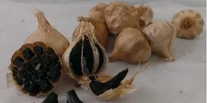 Giá tỏi đen Lý Sơn