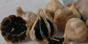 Mua tỏi đen Lý Sơn ở đâu?