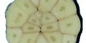 Công dụng tuyệt vời của tỏi tươi