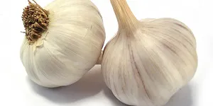 Cảnh báo: Những người không nên ăn tỏi