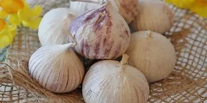 Có nên dùng tỏi cô đơn Trung Quốc