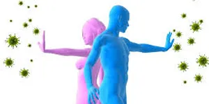 Tỏi đen và tăng cường hệ miễn dịch
