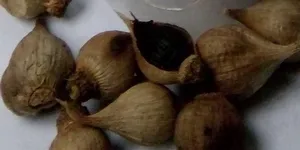 Vì Sao Tỏi Đen Cô Đơn Lý Sơn Đắt Gấp 4  Lần Tỏi TQ
