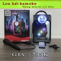 Loa hát karaoke mini mn03 tặng mic có dây